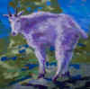 goats small.jpg (68367 bytes)
