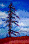 trees of hill small.jpg (60668 bytes)