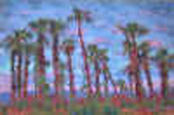 cabo_palms_small