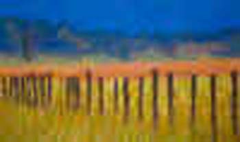 fence_posts_small_small