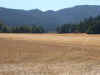 DSCN0071.jpg (37610 bytes)