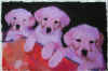puppies.jpg (16692 bytes)