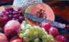 summer bounty 2.jpg (55694 bytes)